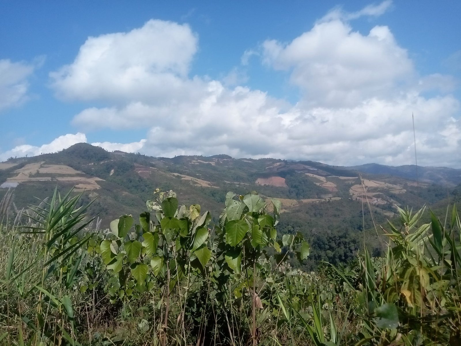 5 Days Luangnamtha Trekking Tour